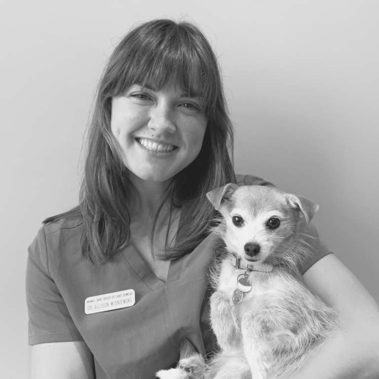 Dr. Allison Wisniewski Animal Care Group of Lake Oswego